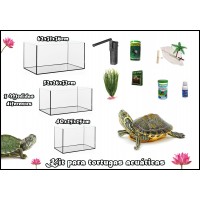 Kit completo de Tortugas acuaticas